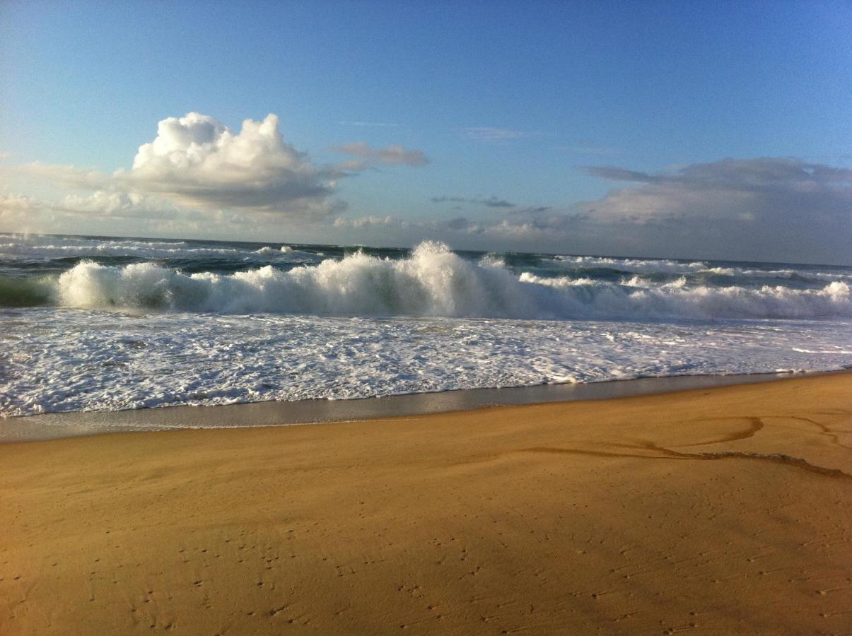 Entre Mer Et Pins سان جوليان-أون-بورن المظهر الخارجي الصورة
